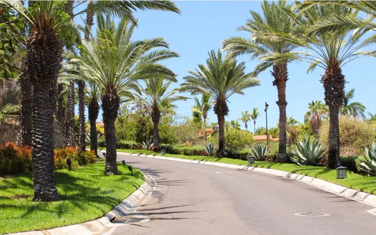 HOA Del Mar